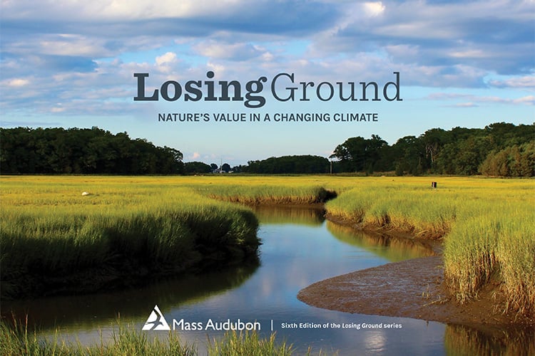 Losing Ground 2020 report cover (image © Julie Archibald)