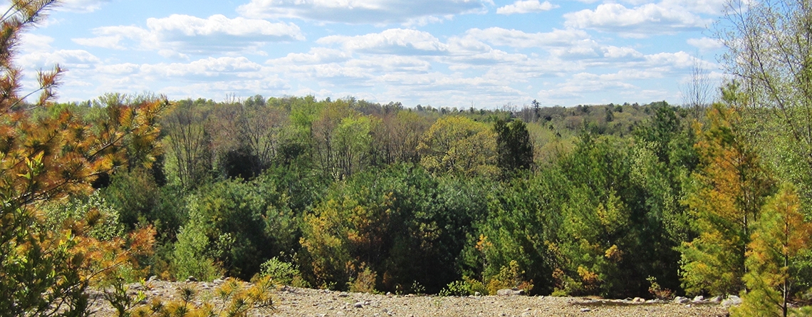 Looking west from the highest point on the Wetherby property