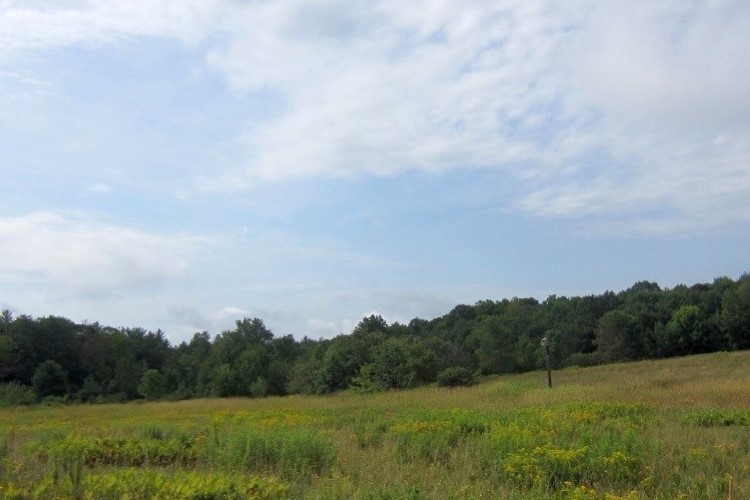 View of a nest box on the hillside at Patten Hill in Shelburne Falls