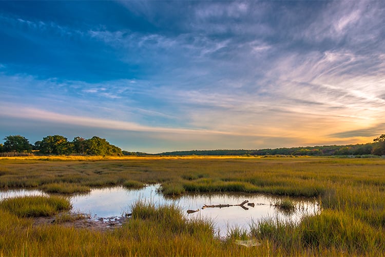Sunrise over marsh © Mark Goulding