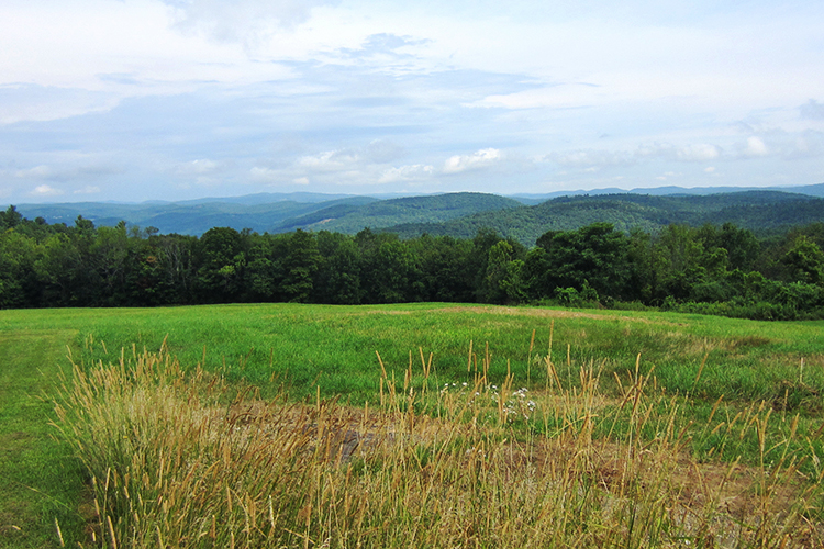 View from the top of Patten Hill