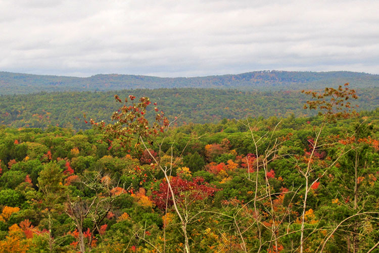 View of Greater Gales Brook landscape from Littlewood in Western Mass