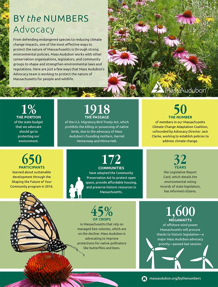 By the Numbers - Advocacy