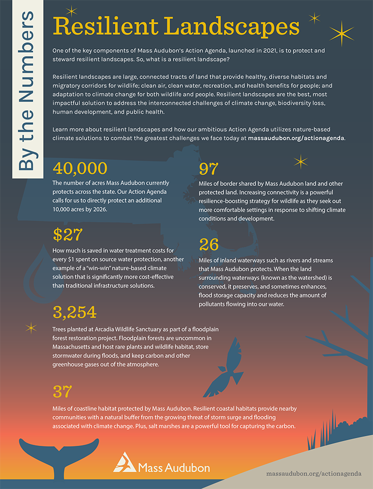 By the Numbers - Resilient Landscapes
