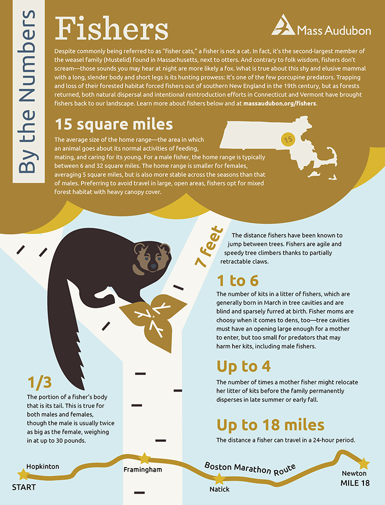 By the Numbers - Fishers