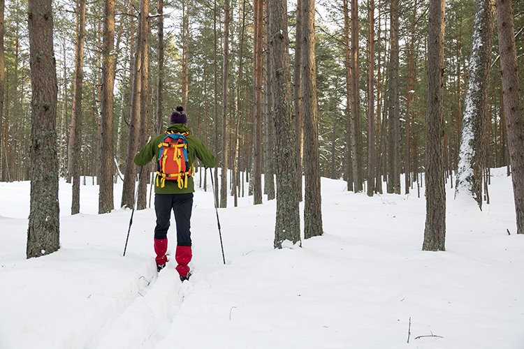 Cross-country Skiing envelops you in winter sounds and sights.