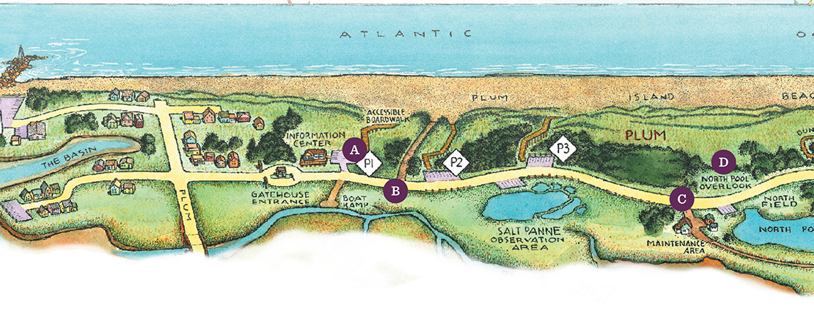 Map of Plum Island winter birding spots