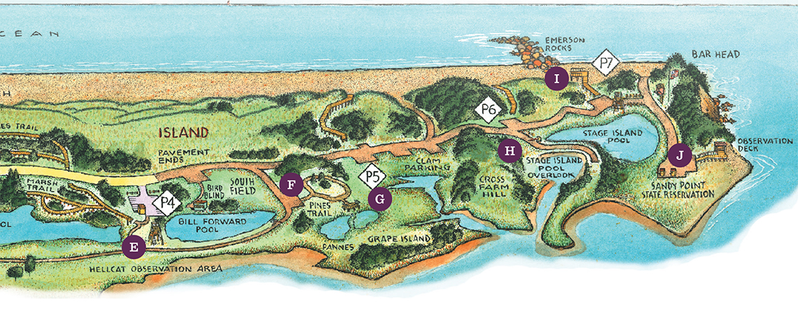 Map of Plum Island winter birding spots