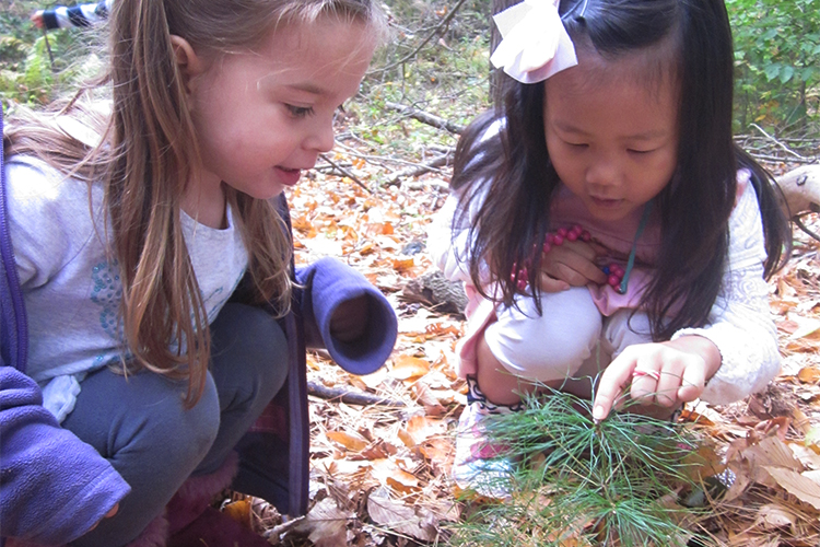 Preschoolers find evergreen sapling on trail