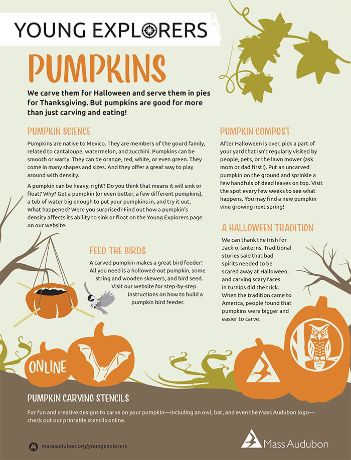 Pumpkins Activity Page