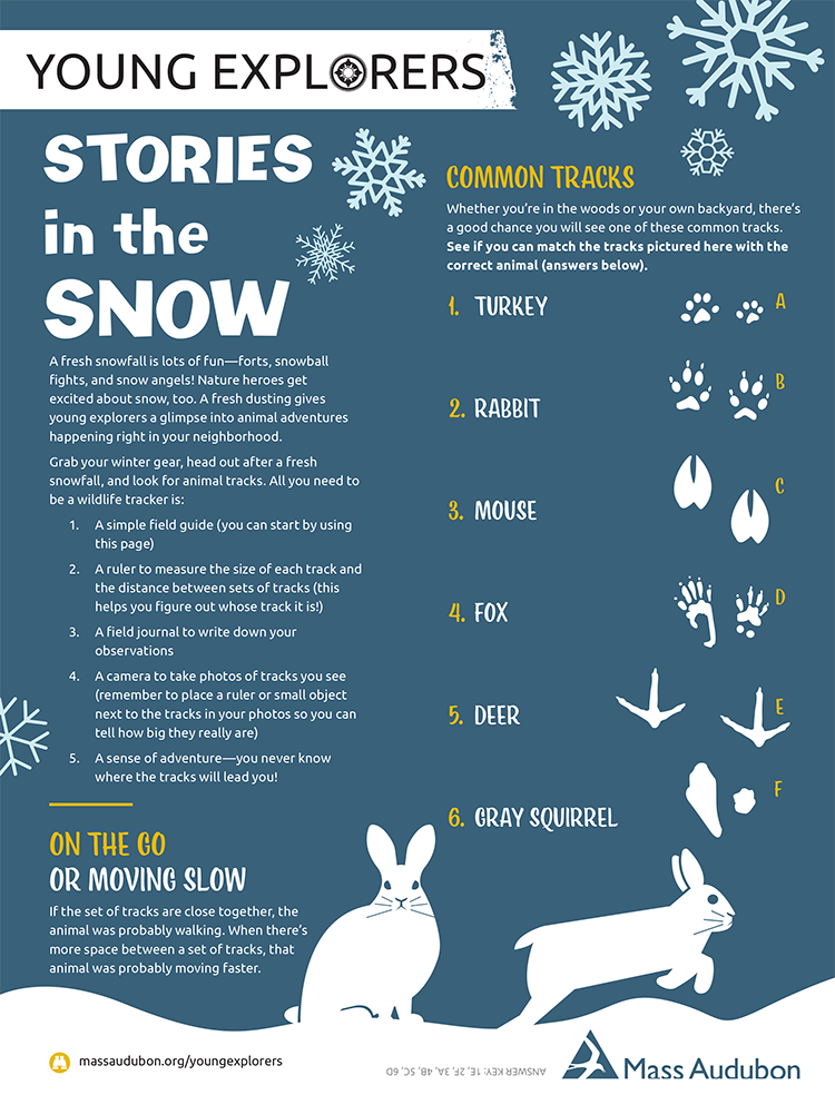 Young Explorers - Stories in the Snow activity sheet