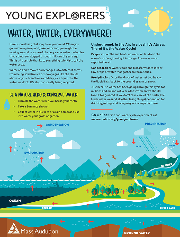 Young Explorers - Water, Water Everywhere Activity Sheet