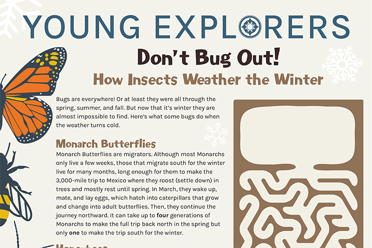 Young Explorers - Don't Bug Out activity page