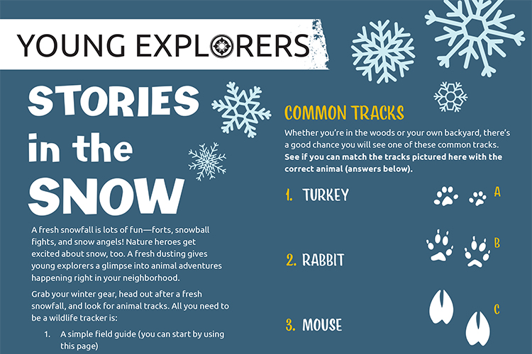 Young Explorers - Stories in the Snow activity sheet