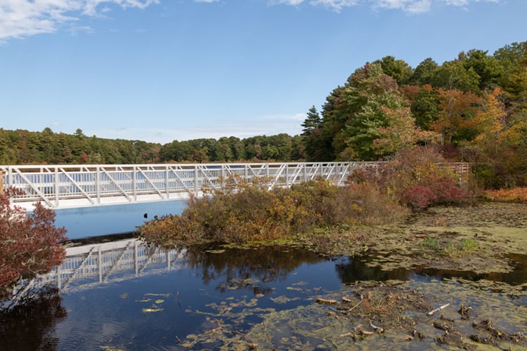 All Persons Trail at Stony Brook