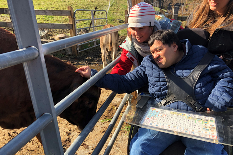 Two individuals petting animals at Drumlin Farm