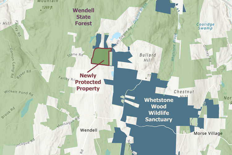 land map of Swallow Rise