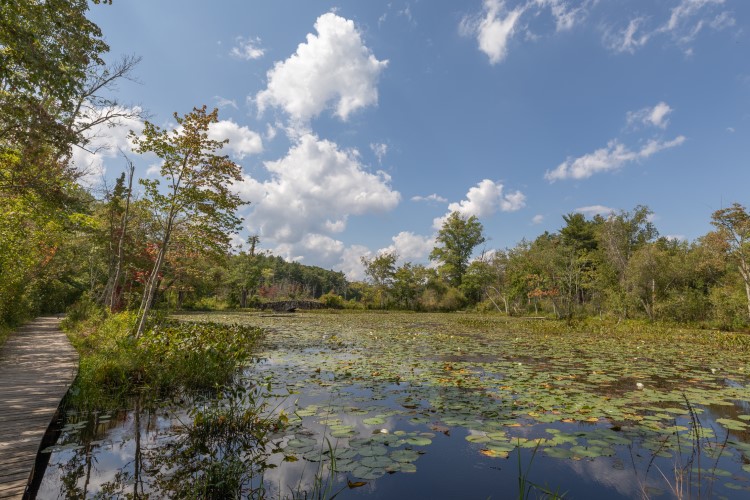 Waterfalls at Ipswich River Wildlife Sanctuary