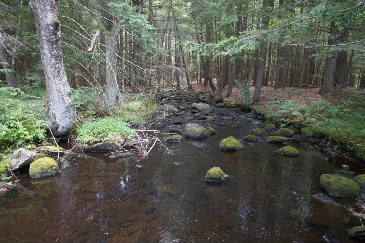 River at Rutland Brook