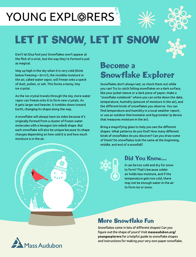 Young Explorers - Let It Snow Activity Sheet