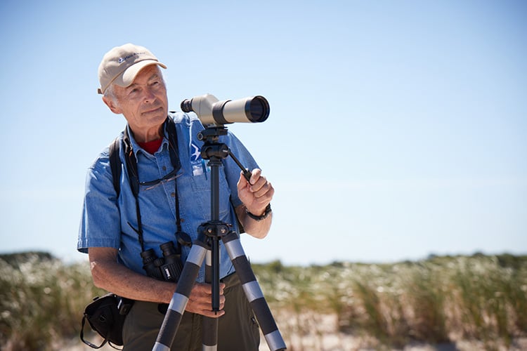 Birding at Mass Audubon's Wellfleet Bay Wildlife Sanctuary © Dennis Welsh Photography