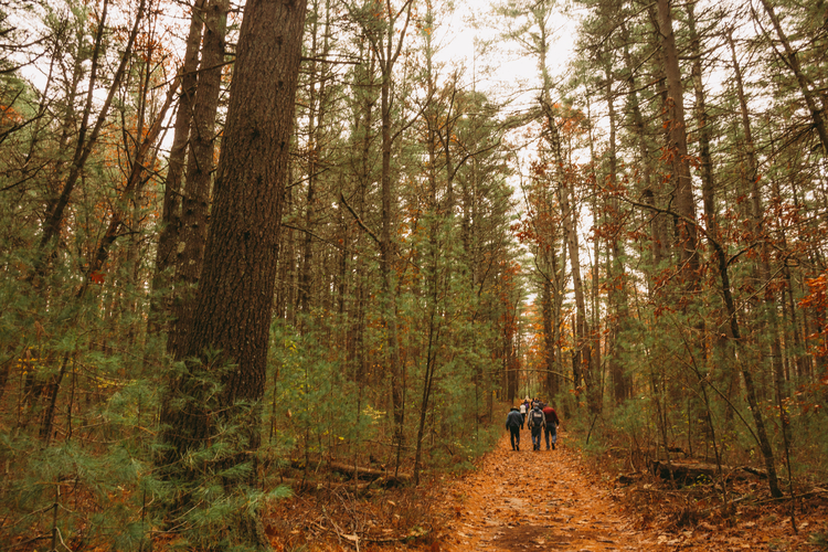 Hiking in the woods