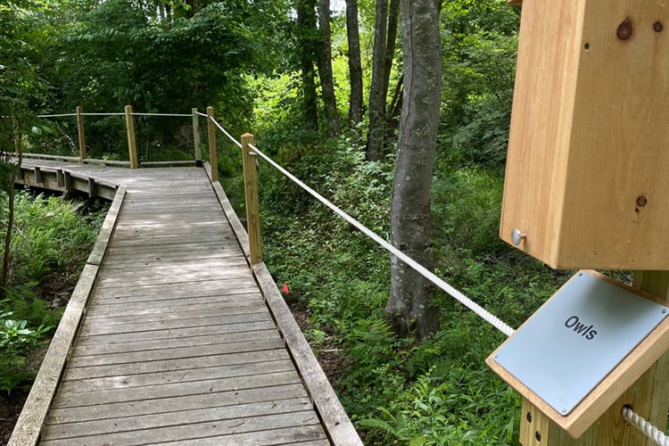 Boardwalk with guide rope on the All Persons Trail at Allens Pond