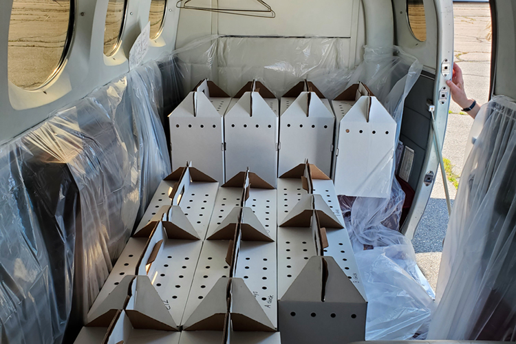 Osprey hack boxes place in small airplane