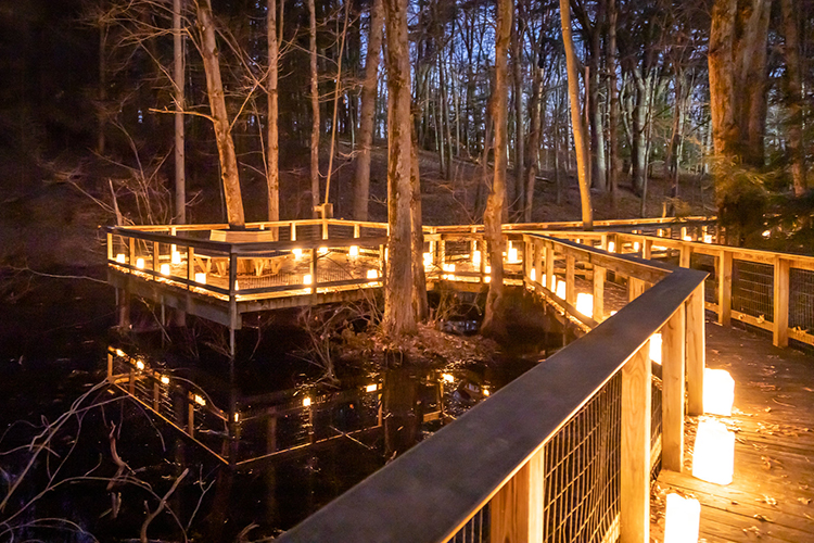 Luminaria Walk for Solstice Celebration at Arcadia Wildlife Sanctuary