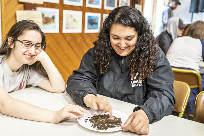 Students examining soil samples in their classroom © Phil Doyle