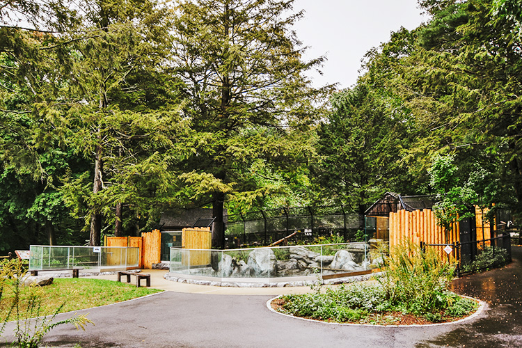 Visitor's entrance path leading up to the new otter exhibit at Blue Hills Trailside Museum