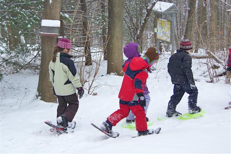 Kids snowshoeing at Broad Meadow Brook Wildlife Sanctuary