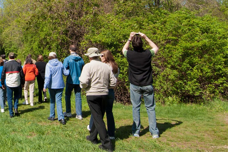 Birding in spring at Broadmoor Wildlife Sanctuary