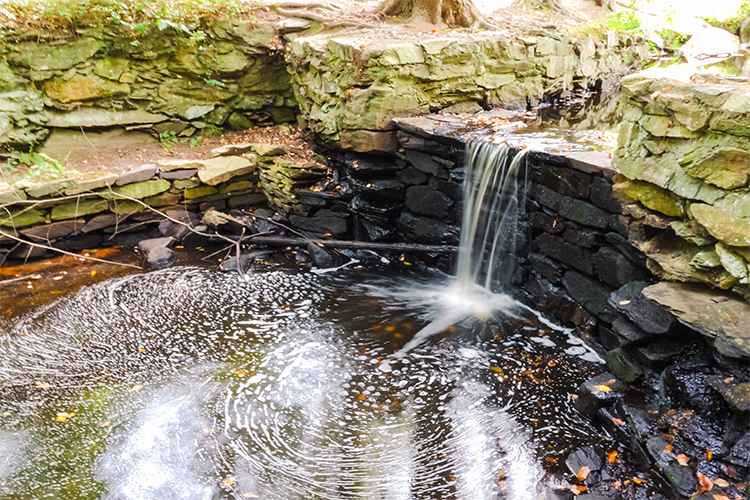 Brook spillway in fall at Broadmoor Wildlife Sanctuary © Stephen Smith