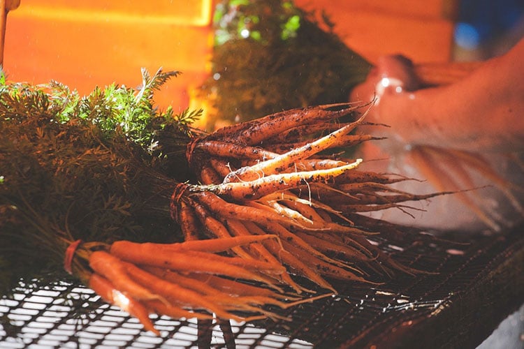 Fall CSA carrots