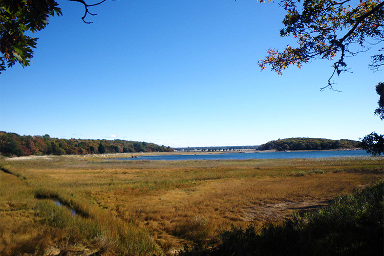 Great Neck Wildlife Sanctuary in early fall © Jesse Ferreira