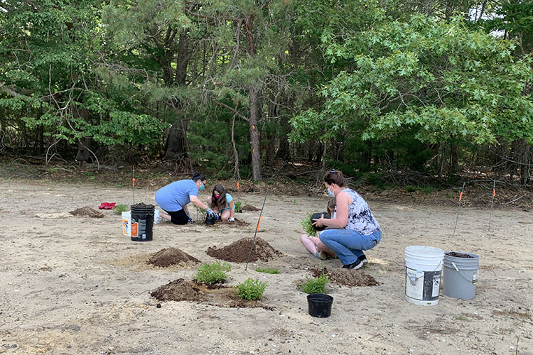 Teachers, students, & families planting native shrubs at Great Neck Wildlife Sanctuary
