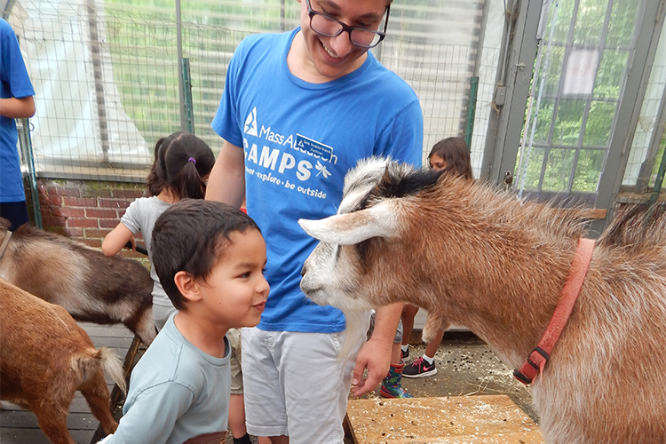 Habitat camper in a staring contest with goat