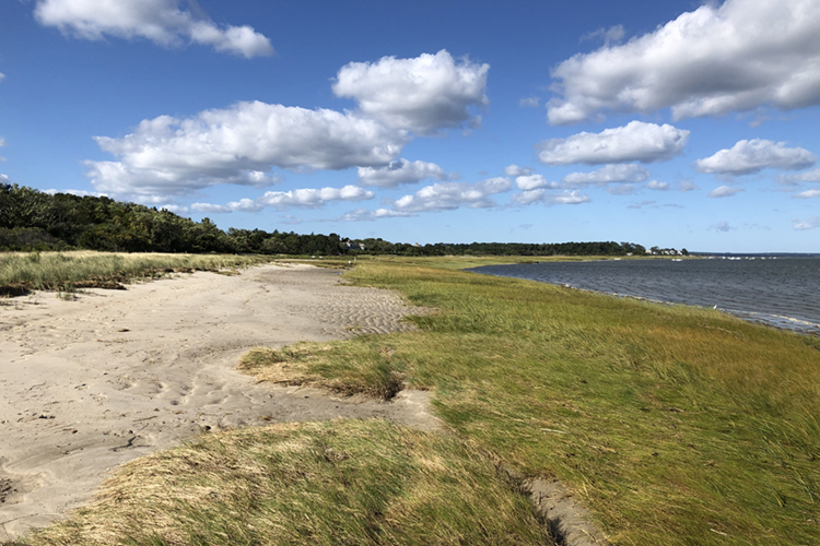 Looking up the shoreline at Long Pasture Wildlife Sanctuary © Elaine Abrams