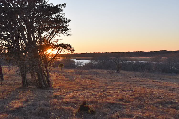 Hummock Pond sunset at Lost Farm Wildlife Sanctuary
