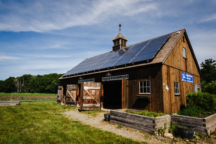 The CSA barn in summer at the Farm at Moose Hill Wildlife Sanctuary