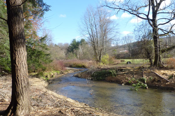 Sackett Brook after dam removal