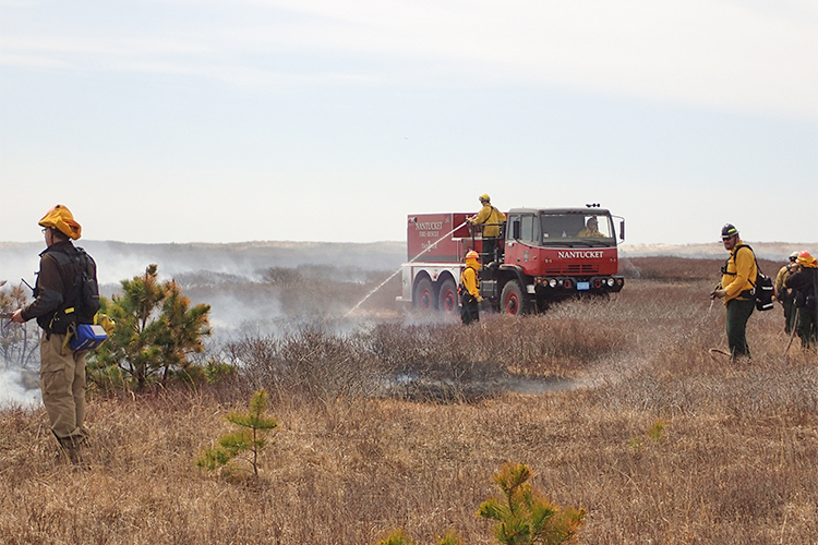 Prescribed burn to manage habitat
