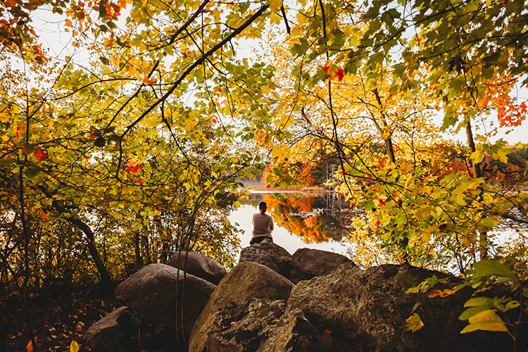 Person sitting on rocks by the lake in fall at Stony Brook Wildlife Sanctuary