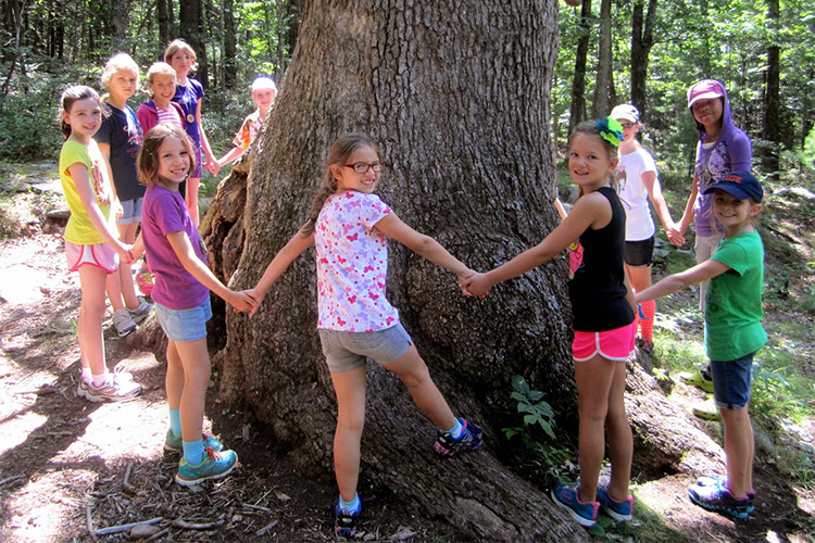 Campers at Wachusett Meadow Nature Day Camp