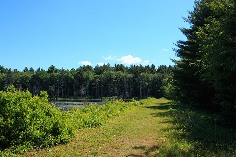 Pond trail at Waseeka Wildlife Sanctuary