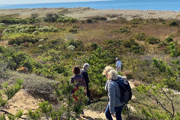 Adults hiking a beach during a Cape Cod Field School course