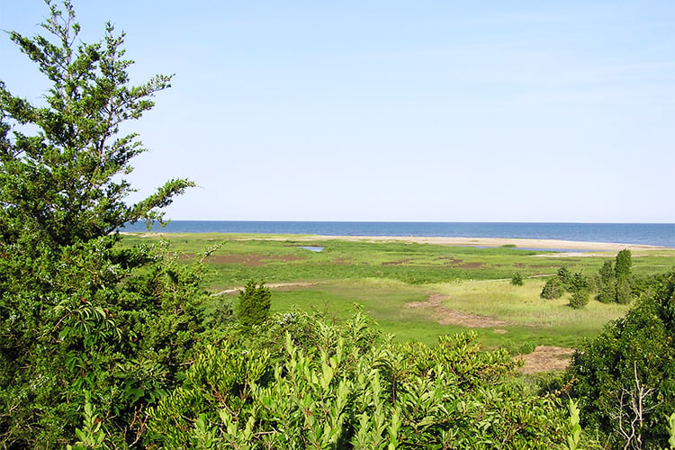 View out to ocean at WB © Lauren Fenn