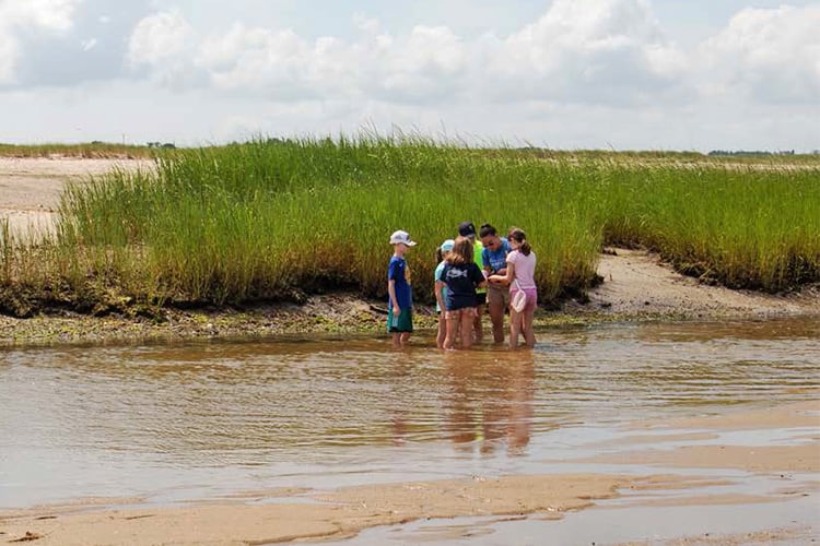 Wellfleet Bay campers exploring a salt marsh with their counselor