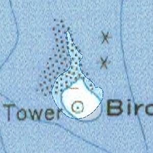 Map of the Bird Island IBA site